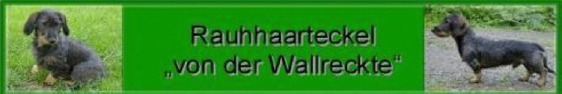 von der Wallreckte