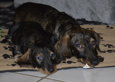 Bendix und Venja
