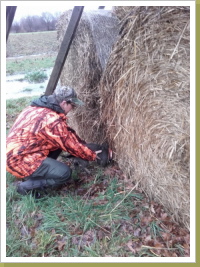 Edda wird in der Strohburg angesetzt. Edda wird in der Strohburg angesetzt.