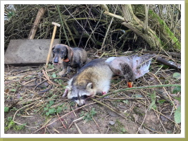 Alma mit Ihrer Beute Alma mit Ihrer Beute