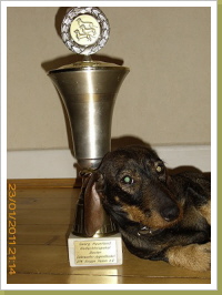 Alma bester Jagdgebrauchsjugendteckel Gruppe Hamm 2010 Alma bester Jagdgebrauchsjugendteckel Gruppe Hamm 2010