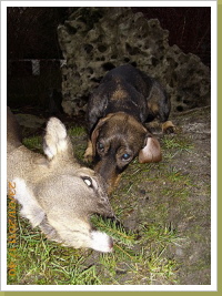 Alma mit Ricke Alma mit Ricke