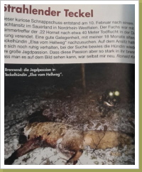 Elsa vom Hellweg in der jagdlichen Presse. Elsa vom Hellweg in der jagdlichen Presse.