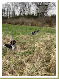 Falko, Anton und Alma warten auf ihren Einsatz Falko, Anton und Alma warten auf ihren Einsatz