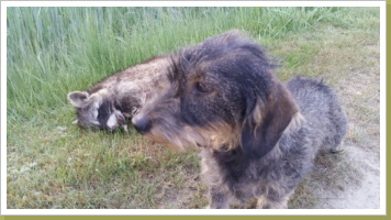 Es war ein erfolgreicher Tag! Es war ein erfolgreicher Tag!