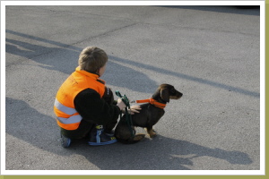 Vor der Spurlautprüfung! Vor der Spurlautprüfung!