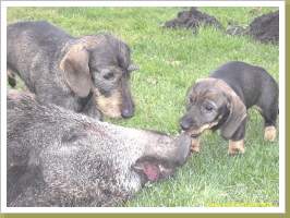 Erster Wildkontakt! Erster Wildkontakt!