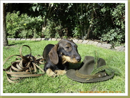 Die große Jägerin! Die große Jägerin!