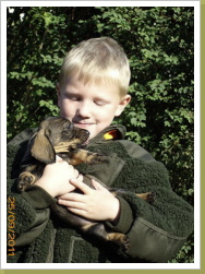 doppelter Jägernachwuchs