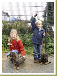 doppelter Erfolg auf der Zuchtschau!