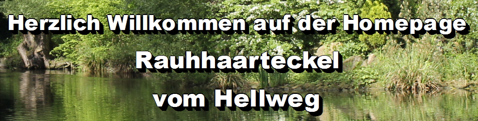 Aktuelles - vomhellweg.de